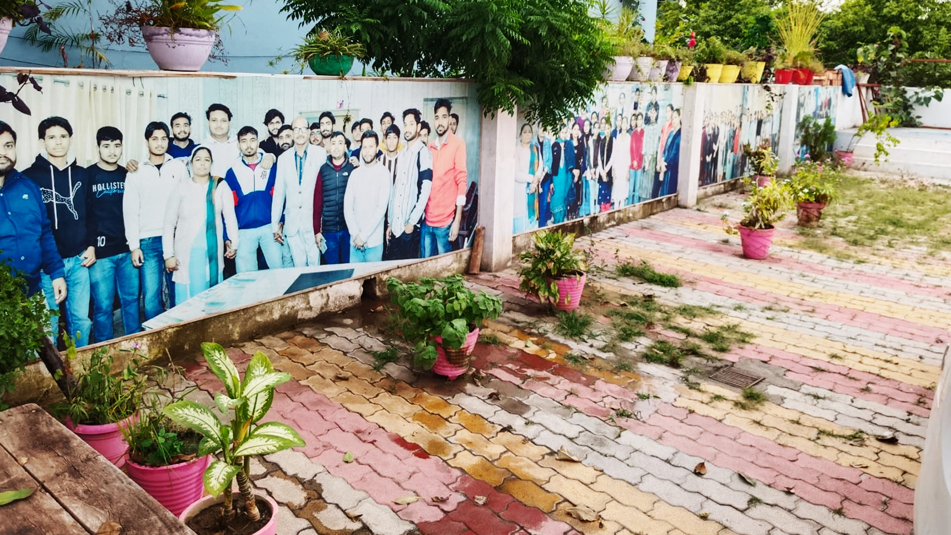 Best Paramedical Institute in Safidon